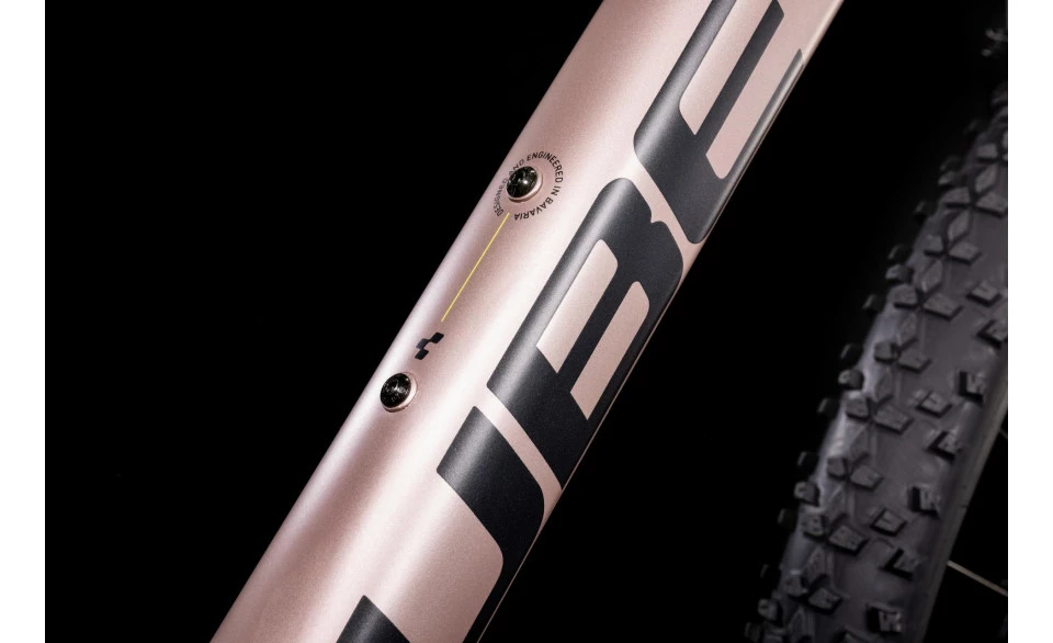 Cube Access WS EX - Vue 4