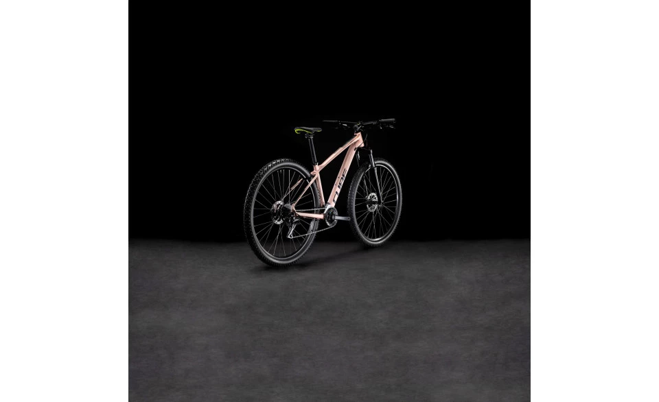 Cube Access WS EX - Vue 7