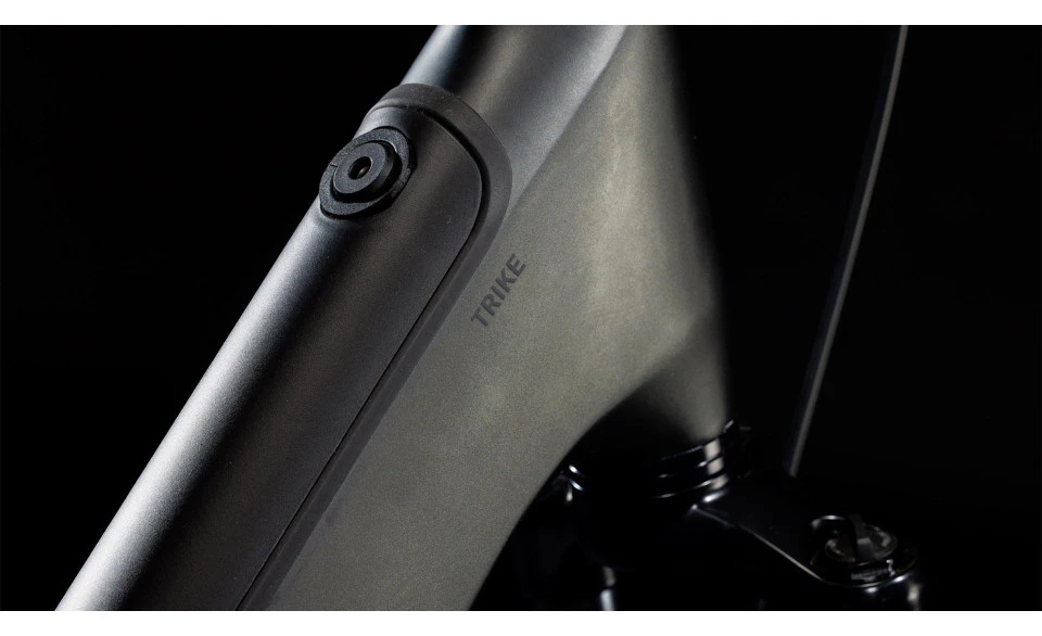 Cube Trike Hybrid Cargo - Vue 2